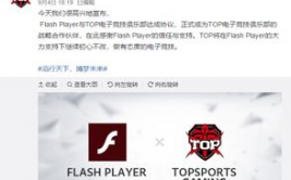 T战队商业合作赞助商权益明细