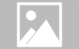 女足世预赛美国队-横扫晋级世界杯