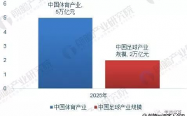 足球发展现状问题分析